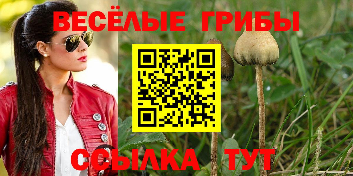 Кубинка  Псилоцибиновые грибы Cubensis  Вход с VPN 