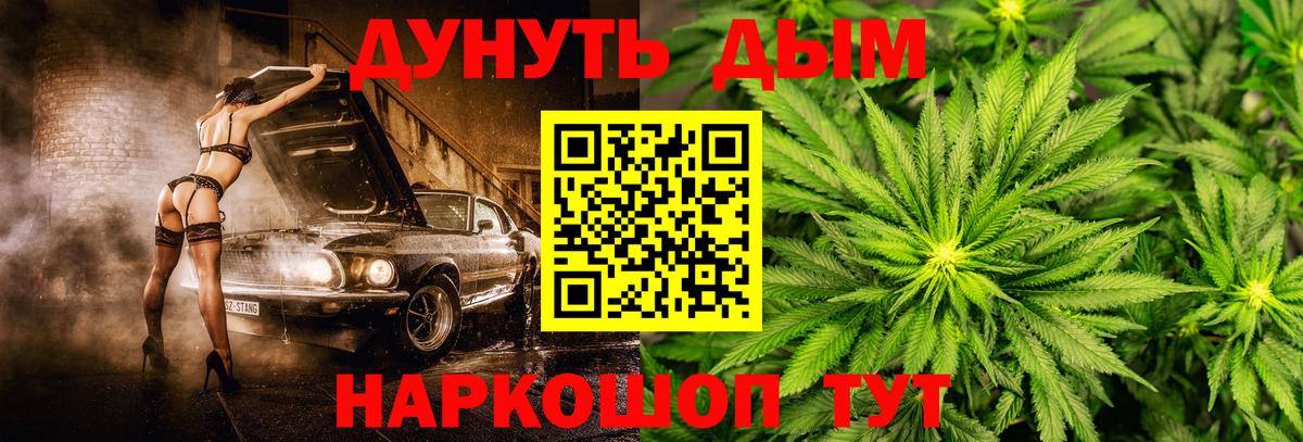 Каннабис ГИДРОПОН Кубинка